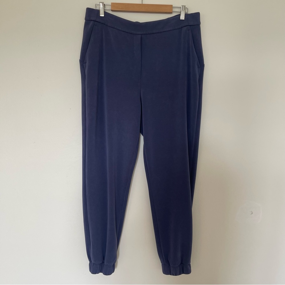 Lululemon Violet Purple Blue Soft Comfort Joggers